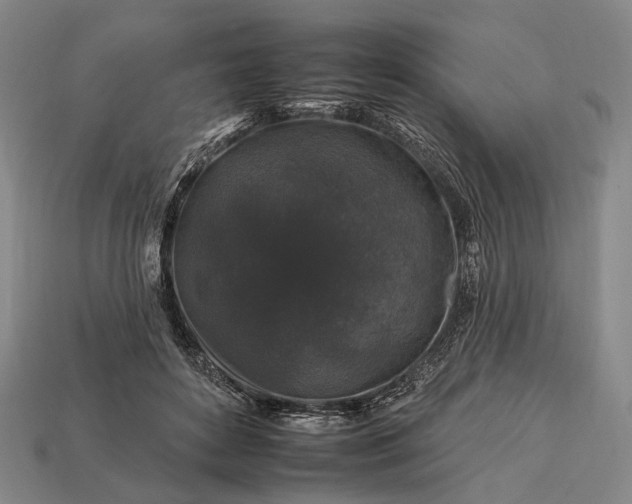 X0000112930504200909071036