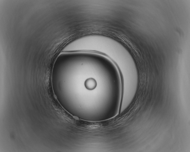 X0000112930505200909071036