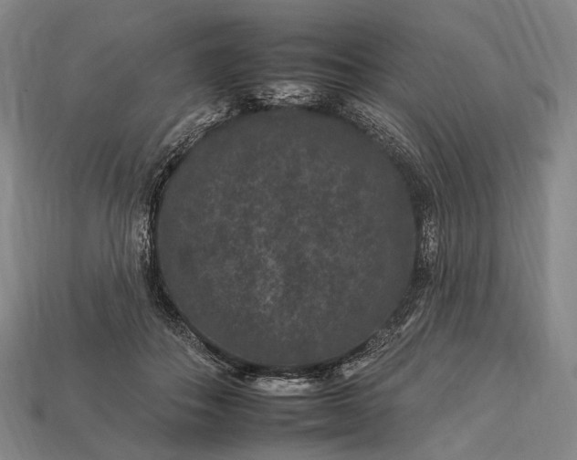 X0000112930506200909071036