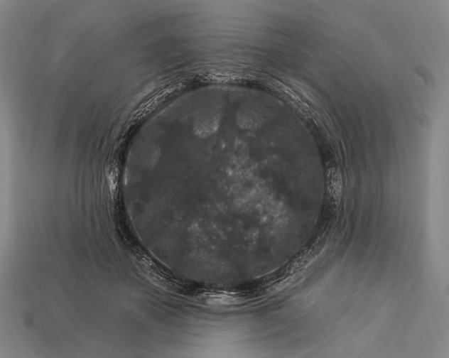 X0000112930507200909071036