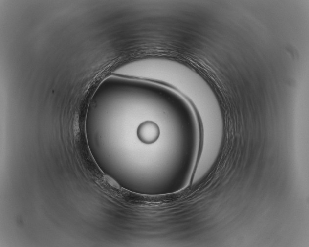 X0000112930508200909071036