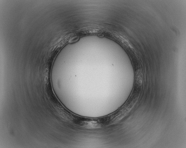 X0000112930509200909071036