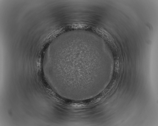 X0000112930510200909071036