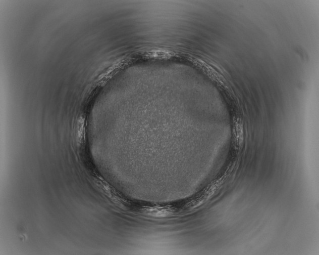 X0000112930511200909071036