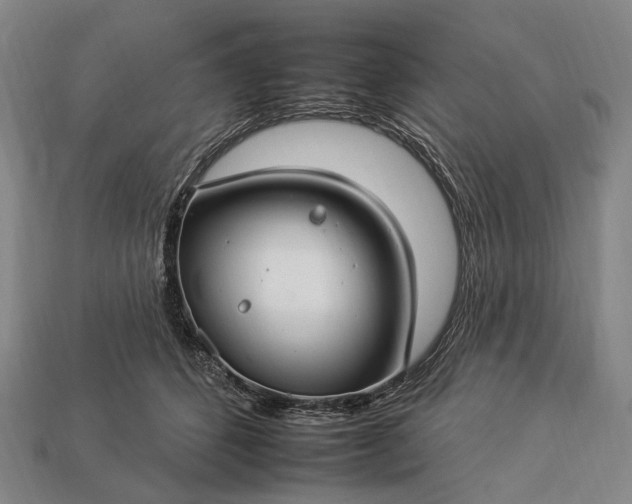 X0000112930512200909071036