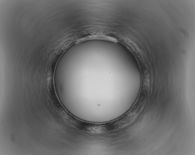 X0000112930513200909071036