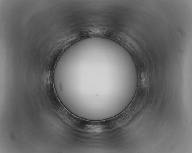 X0000112930514200909071036