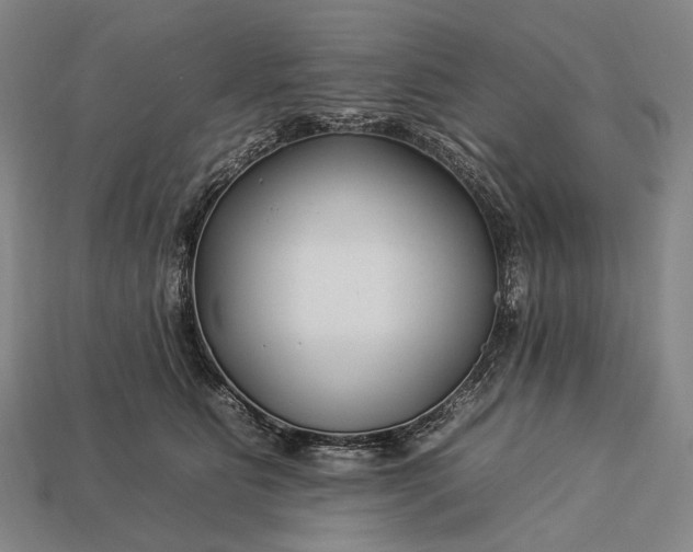 X0000112930515200909071036