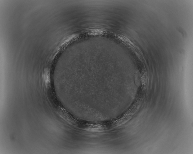 X0000112930516200909071036