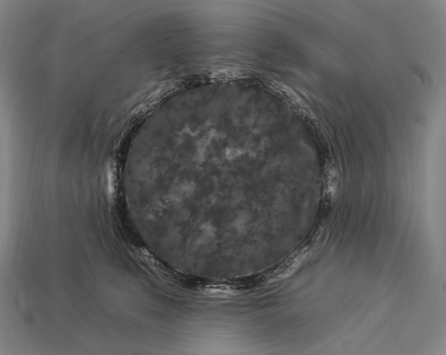 X0000112930519200909071036