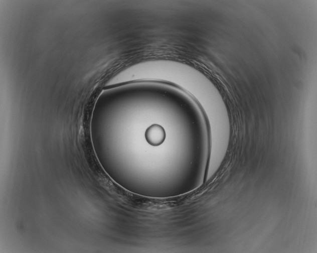 X0000112930520200909071036