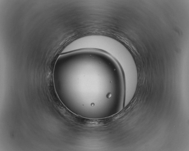 X0000112930521200909071036