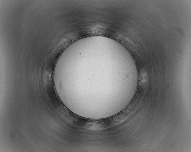 X0000112930522200909071036