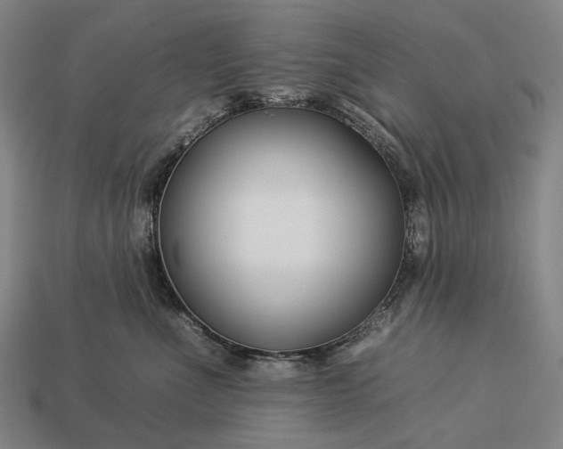 X0000112930523200909071036