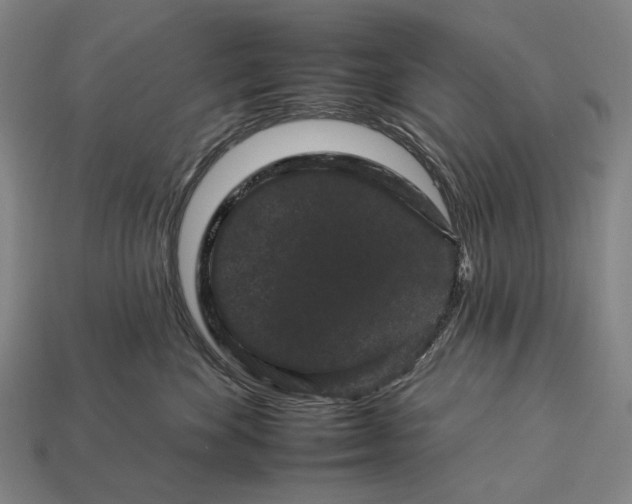 X0000112930524200909071036