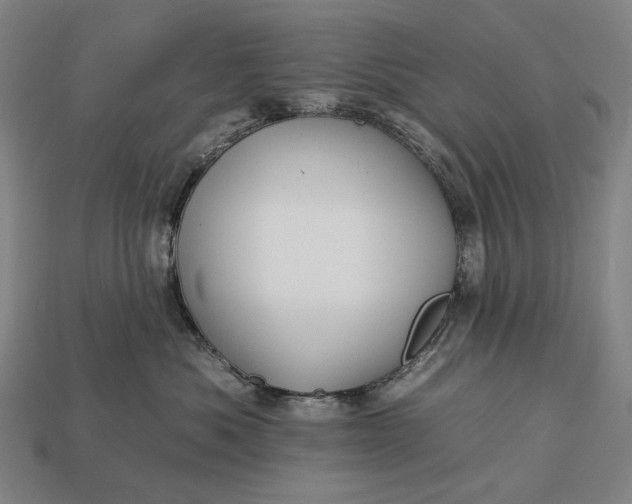 X0000112930525200909071036