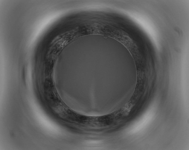 X0000112930526200909071036