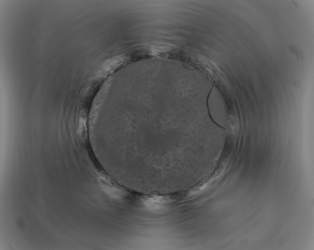 X0000112930527200909071036