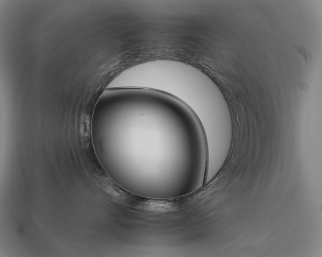 X0000112930528200909071036