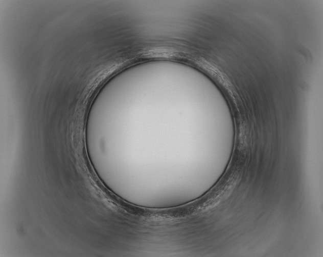 X0000112930529200909071035