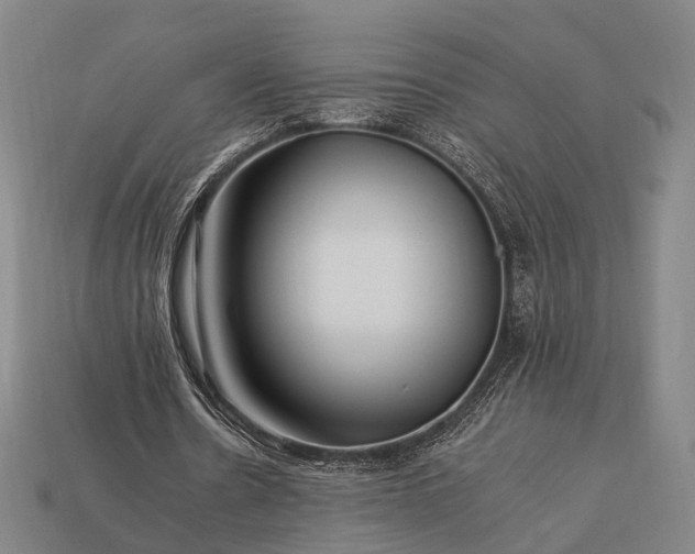 X0000112930530200909071035