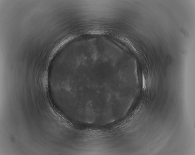 X0000112930531200909071035