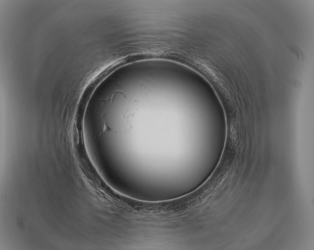 X0000112930532200909071035