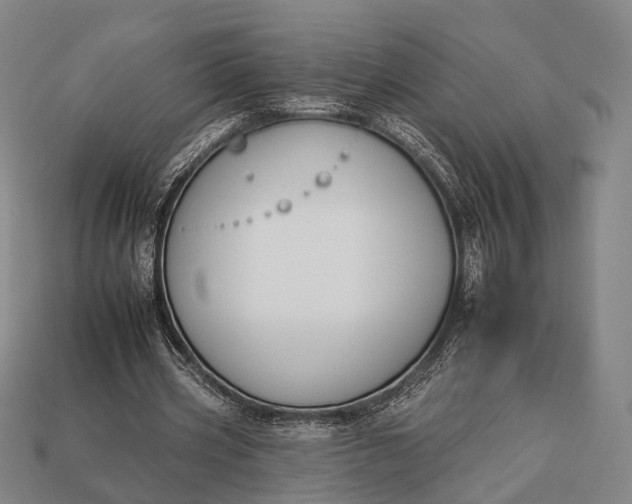 X0000112930533200909071035