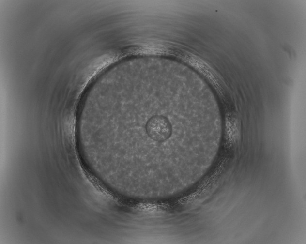 X0000112930534200909071035