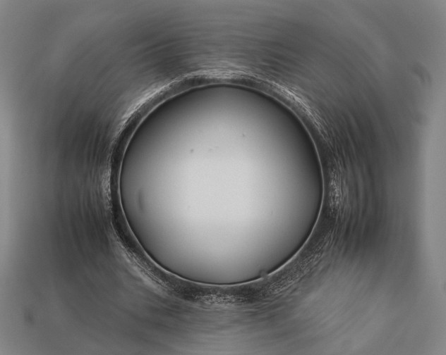 X0000112930535200909071035