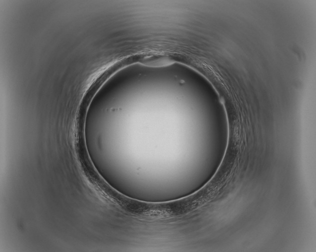 X0000112930536200909071035