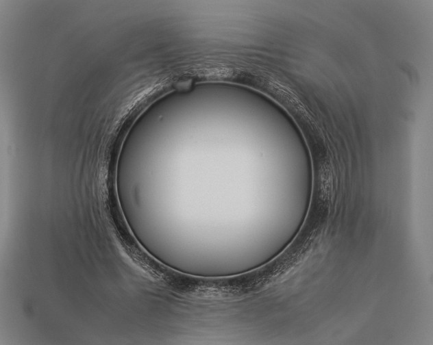 X0000112930538200909071035