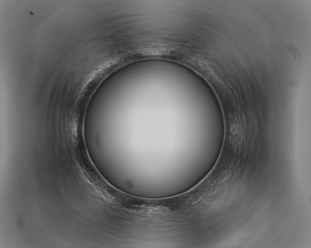 X0000112930539200909071035