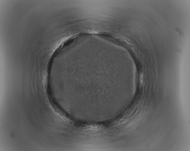 X0000112930540200909071035