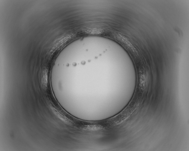 X0000112930541200909071035