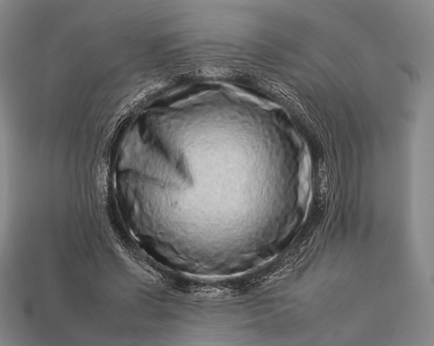 X0000112930542200909071035