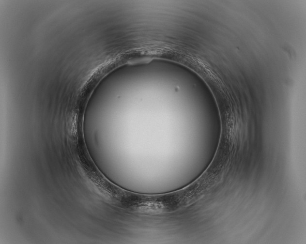 X0000112930543200909071035