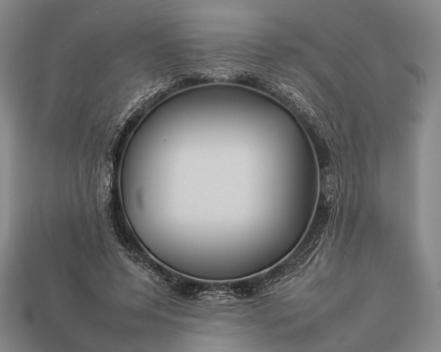 X0000112930544200909071035