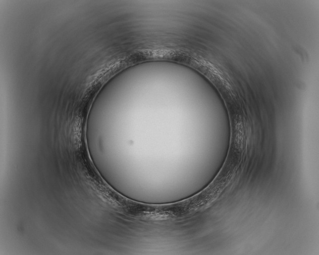 X0000112930545200909071035