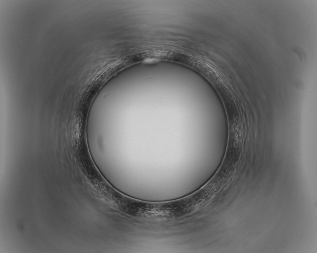 X0000112930546200909071035