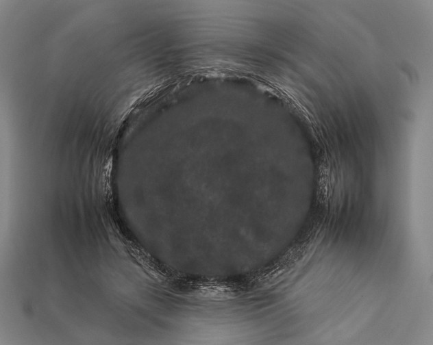 X0000112930547200909071035