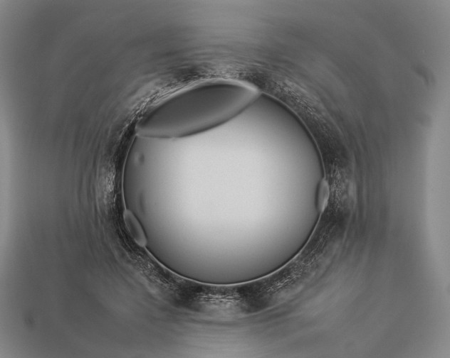 X0000112930548200909071035