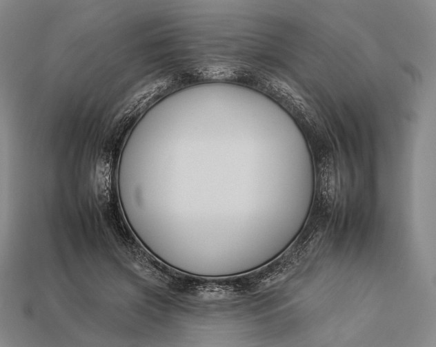 X0000112930549200909071035