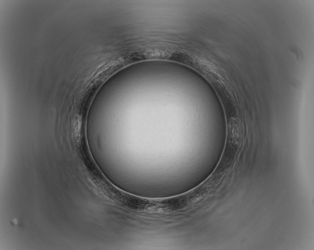 X0000112930550200909071035