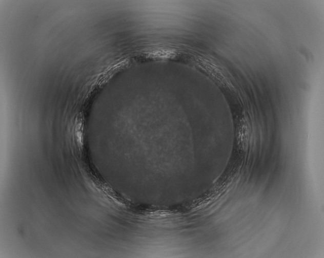 X0000112930551200909071035