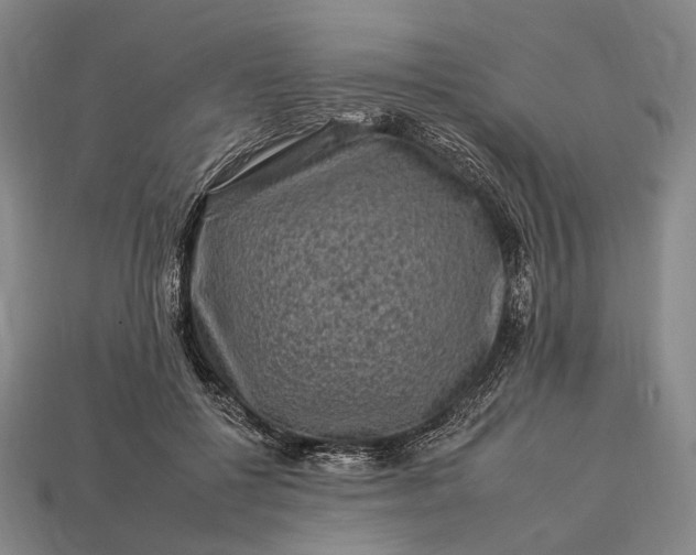 X0000112930552200909071035