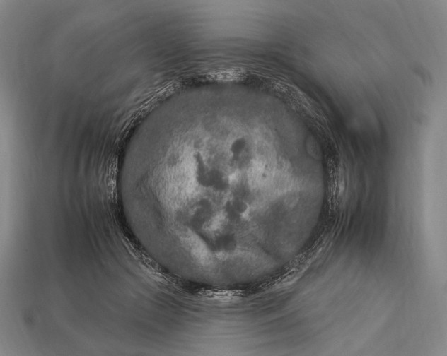 X0000112930553200909071035