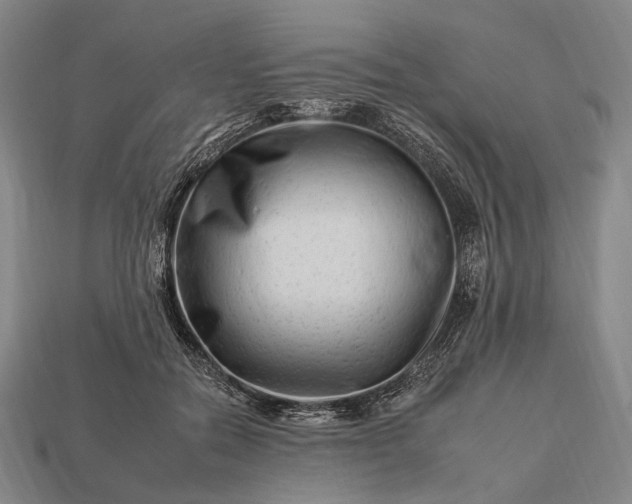 X0000112930554200909071035