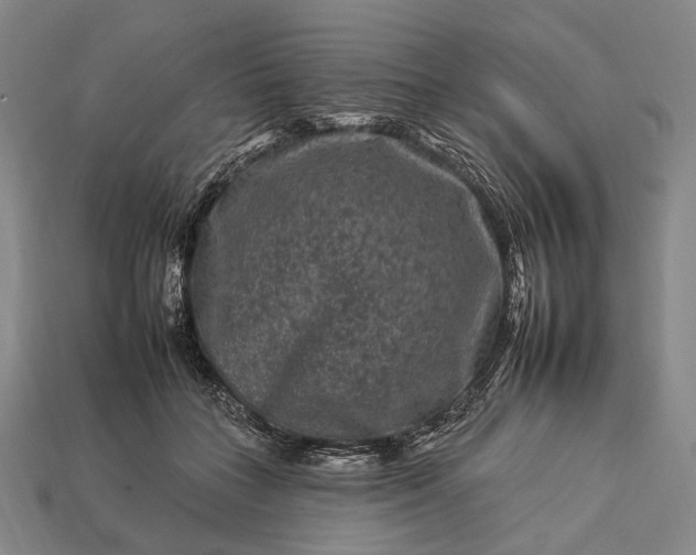 X0000112930555200909071035