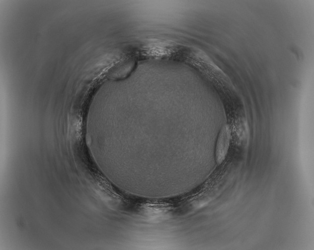 X0000112930556200909071035